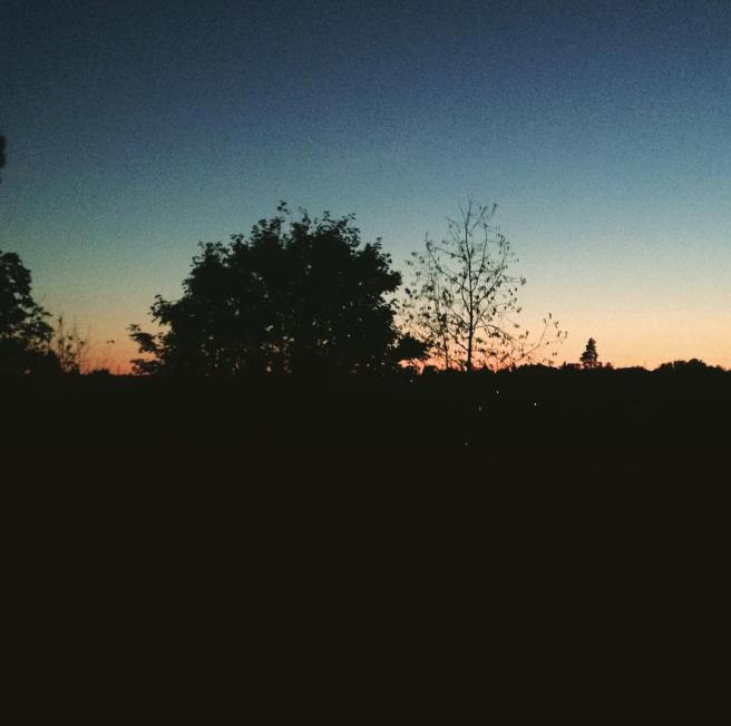 22861066_1561349163903276_29595279606939648_n(1)